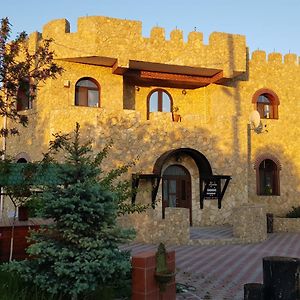 Royal Castle Hotel Pascani Exterior photo