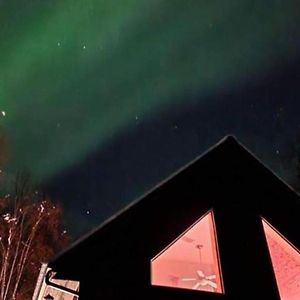 Corporate Cabin Aurora Refuge Villa Fairbanks Exterior photo