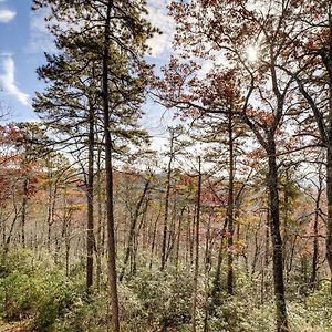 Modern Mountain-View Sanctuary In Pisgah Forest Exterior photo