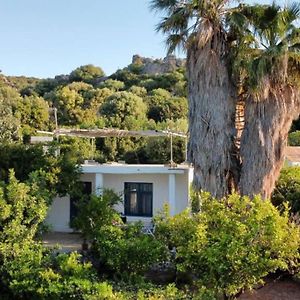 Dimitris Family House Villa Kerames Exterior photo