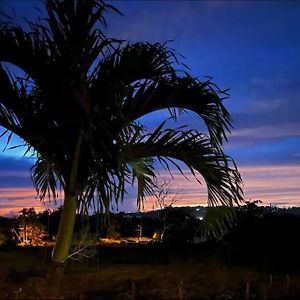 Caribbean Dreams Villa Mayaguez Exterior photo