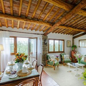 Melograno Farmhouse, Romantic Farmhouse Villa With Private Infinity Pool And Great Views In Lucca Piaggiori Exterior photo