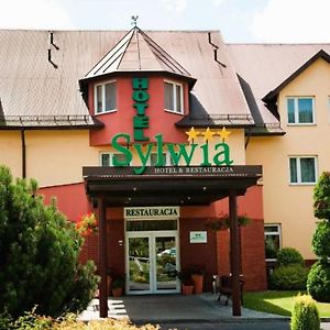 Hotel Sylwia Sosnicowice Exterior photo