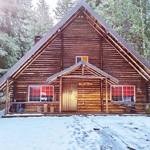 Log Cabin At Rainier Lodge Ashford Exterior photo