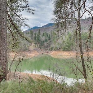 Charming Lakehead Cabin Walk To Shasta Lake! Exterior photo