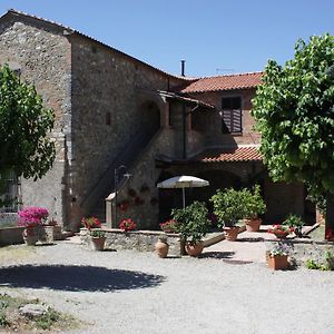 Agriturismo L' Agresto Villa Casole d'Elsa Exterior photo