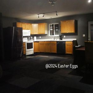 Easter Eggs Duplex Apartment Rochester Exterior photo