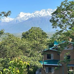 Kut House Bed & Breakfast Palampur Exterior photo