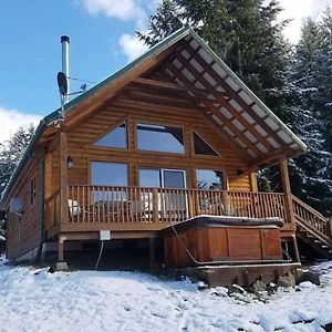 Mountain View Cabin, Hot Tub At White Pass, Mt Rainier National Park Villa Packwood Exterior photo