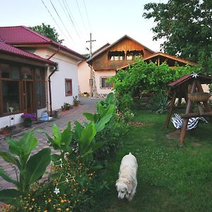 Vila Speranta Hotel Plescoi Exterior photo