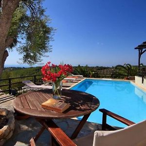 Alonissos 4-Bedroom Large Villa With Private Pool Milia Exterior photo