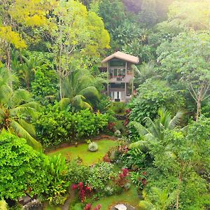 Tortuga Premium Riverfront Jungle Villa With Jacuzzi And Pool Uvita Exterior photo