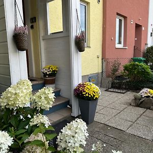 Family Home Green Paradise With Garden & Free Parking Salzburg Exterior photo
