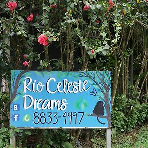 Xxx Blue Paradise - Rio Celeste Dreams Bijagua Exterior photo