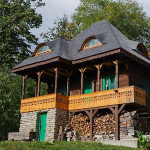 La Sat - Mandra Ioana Villa Bertea Exterior photo