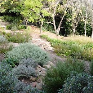 Flash Jacks Of Gundagai Exterior photo