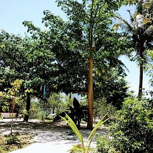 Casa Maya Melipona - Alberca - Wifi Starlink - Tour Sostenibilidad Izamal Exterior photo