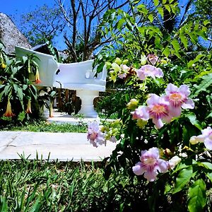 Aldea Maya Toktli Origenes: Alberca + Wifi-Starlink + Tour Sustentabilidad Izamal Exterior photo