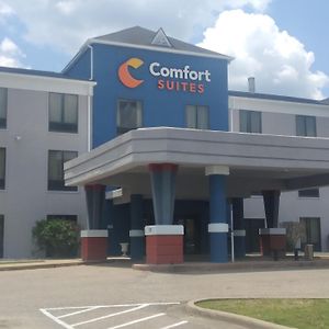 Comfort Suites Airport South Montgomery Exterior photo