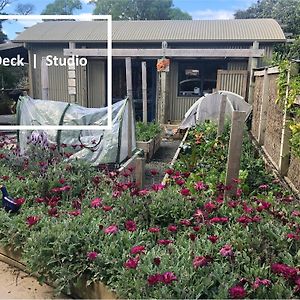 Kaka Ridge Retreat Bush Hideaway Apartment Tawharanui Exterior photo