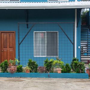 Organic Garden Apartment San Jose  Exterior photo