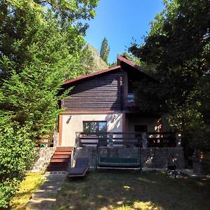 Mountain Family Chalet On Prahova Valley Comarnic Exterior photo