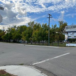 Bluebird Motel Claresholm Exterior photo