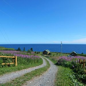 Les Chalets Brise-De-Mer Sainte-Therese-de-Gaspe Exterior photo