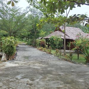Magpie Homestay & Jungle Trekking Bukit Lawang Exterior photo
