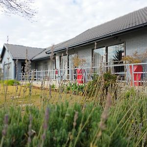 21 On Coetzee Guest House Bloemfontein Exterior photo