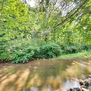 Quaint Elysburg Cottage Walk To Knoebels Resort! Paxinos Exterior photo