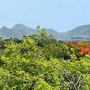 Mandevilla Nevis Cliftons Exterior photo