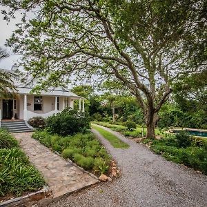 Mimosa Bed & Breakfast Grahamstown Exterior photo