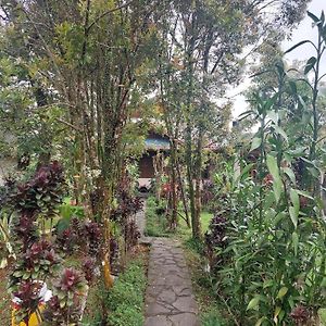 Mountain View Homestay Tomohon Exterior photo