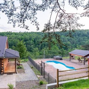 New! Secluded Cabin With Views, Pool & Hot Tub Villa Amberson Exterior photo