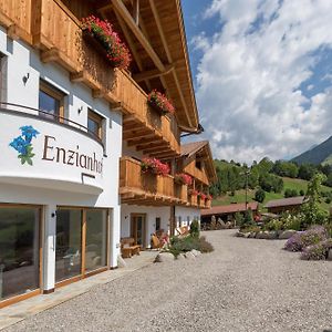 Enzianhof - Nature Apartments Ahrntal Exterior photo