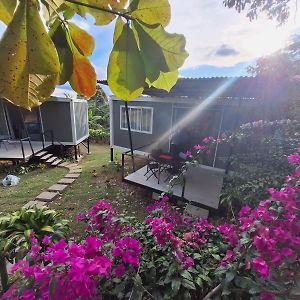 Emmas Tropical Finca Guest House Alajuela Exterior photo