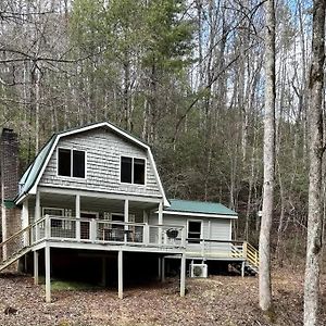 Fresh Air Cabin - Secluded 1 Acre 2Bd, 2Bth - Dogs Allowed Ellijay Exterior photo