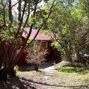 Bosque Magico Oasis La Campana Hijuelas Ocoa Exterior photo