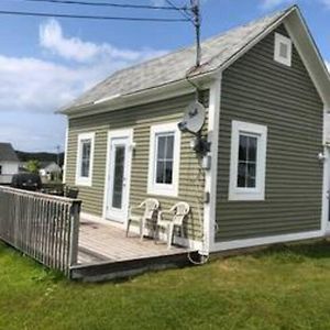 Experience Tranquility: Cricket Field Offers Charming Retreat In Twillingatate Villa Twillingate Exterior photo