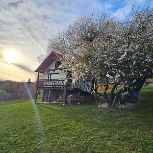 Casa Rustica Villa Brasov Exterior photo