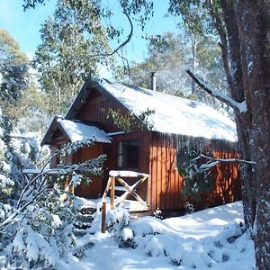 Cradle Highlander Villa Cradle Mountain Exterior photo