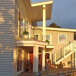 Luxurious Waterfront Accommodation Dunedin Exterior photo