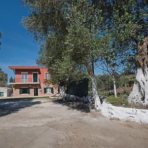 Village House In An Olive Grove! Corfu  Exterior photo