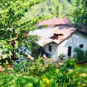 Ithin Kithul Villa Beragala Exterior photo