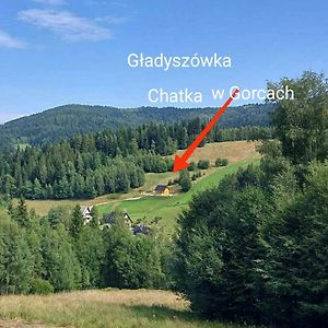 Gladyszowka - Chatka W Gorcach Ponice Exterior photo