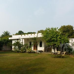 Luxury Villa With Swimming Pool Jaipur Exterior photo