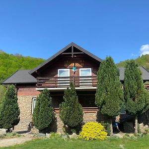 Casa Morar Villa Valea Draganului Exterior photo