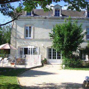 Maison D'Hotes Villa Richelieu Chatellerault Exterior photo