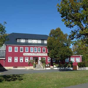 Zum Roten Hirsch Im Grunen Wald Saalfeld Saale Exterior photo